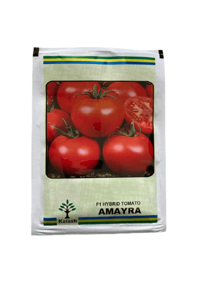 amayra f1 hybrid tomato (kalash seeds)