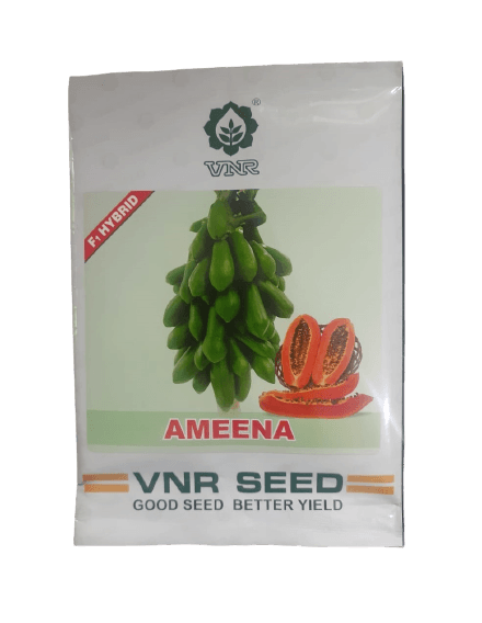 ameena f1 hybrid papaya (vnr seeds)