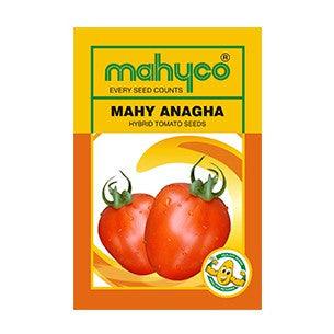 anagha/अनघा tomato (mahyco)