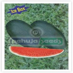 arun-0035/अरुण -००३५ ice box watermelon (pahuja)