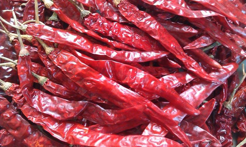 arunim/अरुणिम hot pepper (seminis)