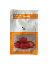 arya/आर्या f1 hybris tomato (basf | nunhems)