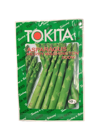 merry washington asparagus  500w (tokita seeds)