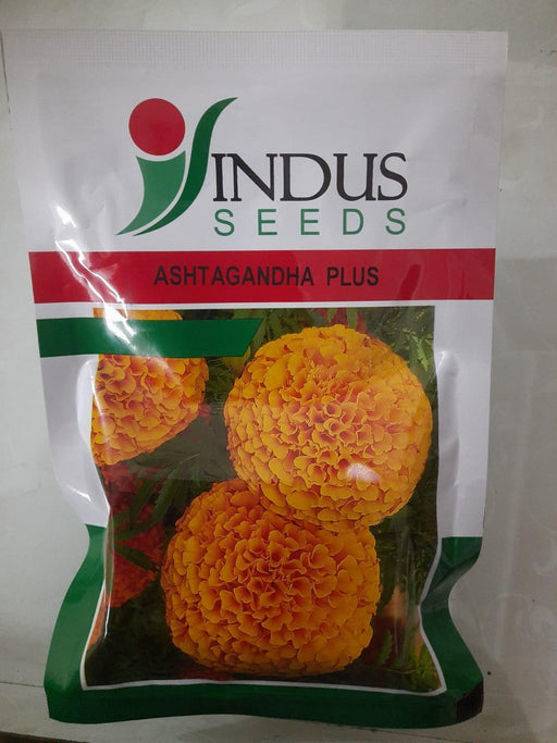ashtaganda plus orange marigold (indus seeds)