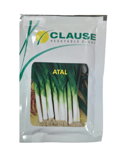 atal leek spring cut bunching onion (clause seeds)