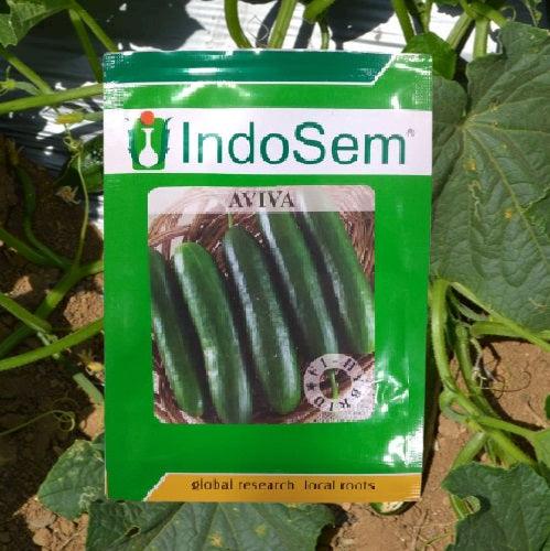 aviva f1 hybrid seedless cucumber (indosem)