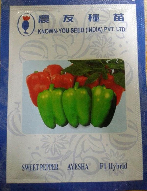 ayesha/आयेशा hybrid sweet pepper (known you seeds)