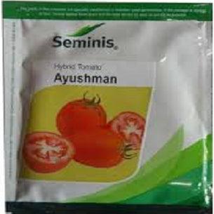 ayushman/आयुष्मान tomato (seminis)