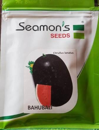 bahubali/बाहुबली f1 hybrid watermelon (seamons seeds)