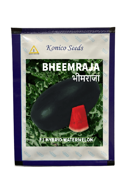bheemraja/भीमराजा f1 hybrid icebox watermelon (konico seeds)