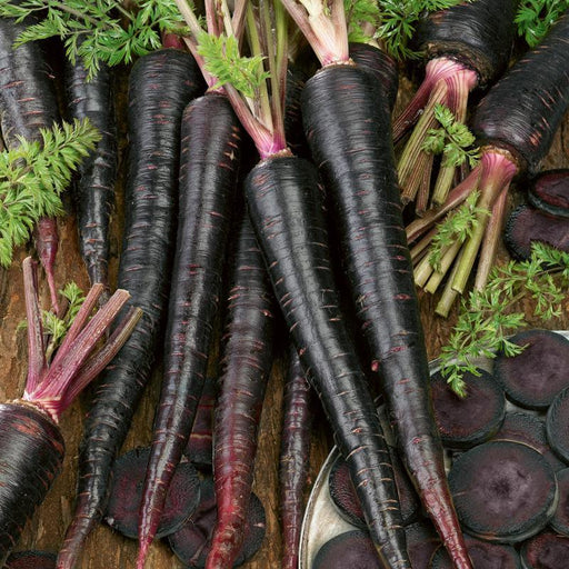 black (purple) desi long carrot seeds  (garden festival)