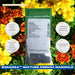 bonanza™ mixture f1 hybrid french marigold (panamerican)