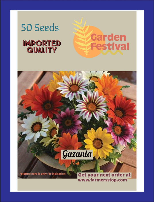 bloom gazania mix (garden festival)