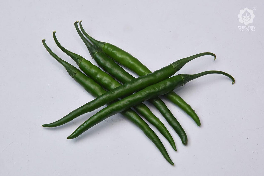 sunidhi f1 hybrid chilli (vnr seed's)