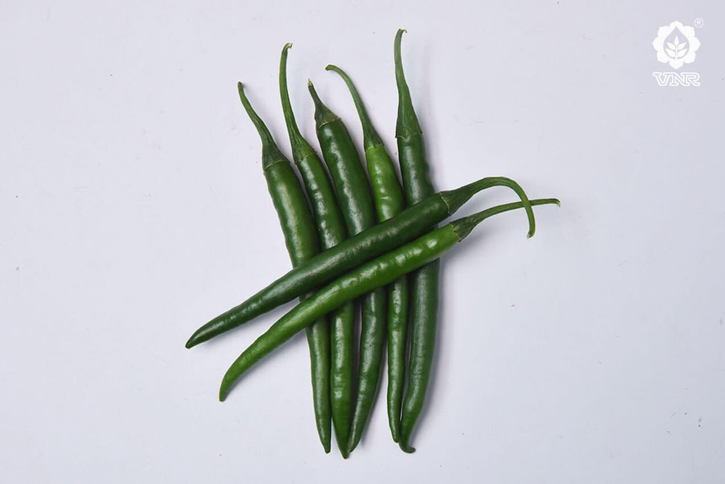 vnr unnati (60-13) f1 hybrid chilli (vnr seed's)