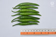 vnr 305 f1 hybrid chilli (vnr seed's)
