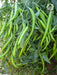 vnr g-273 (jyothi) f1 hybrid chilli (vnr seed's)