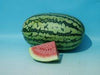 chirag/चिराग hybrid watermelon (known you seeds)