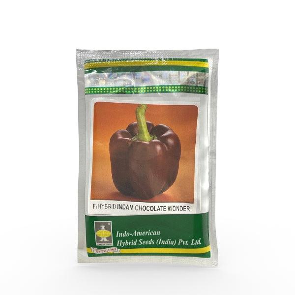 indam chocolate wonder capsicum f1 (indo american hybrid seeds)