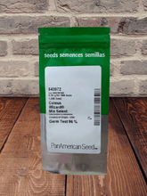 wizard® mixture coleus (panamerican)