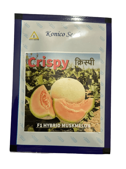 crispy/क्रिस्पी hybrid f1 muskmelon (konico seeds)