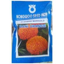 Dani F1 Hybrid Marigold (Nongwoo Seed India) - Farmers Stop