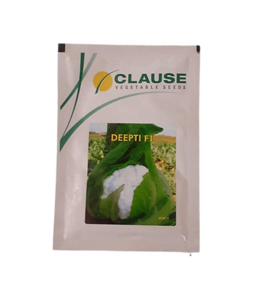 deepti f1 hybrid cauliflower (clause seeds)