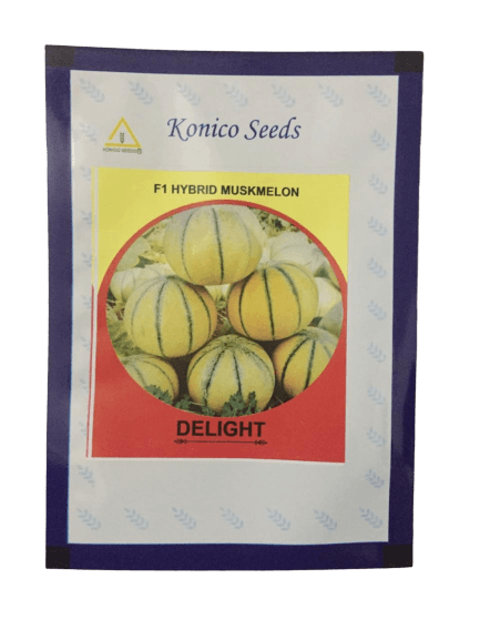 delight/डिलाइट f1 hybrid muskmelon (konico seeds)