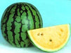 devyani/देवयानी hybrid watermelon yellow flesh (known you seeds)
