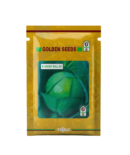 f1 hybrid cabbage - goody ball -65 (golden seeds) - 10g