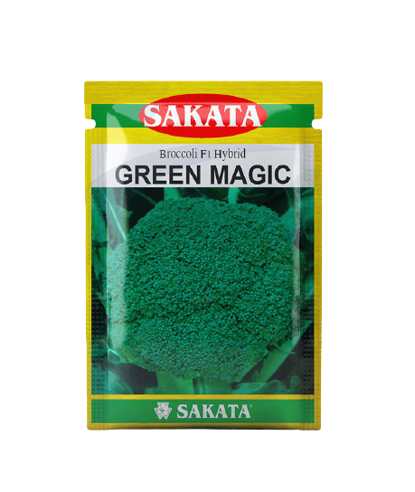 green magic f1 hybrid broccoli (sakata)