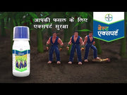 Belt® Expert Flubendiamide 19.92% + Thiacloprid 19.92% w/w SC (480 SC) (Bayer, India)