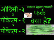 Moringa (Drumstick) PKM-1, PKM-2, Wingless & ODC-3 Varieties (Farmers Stop)