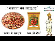 ADV 2049 F1 Hybrid Tomato (Golden Seeds/Advanta)