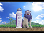 GRACIA Fluxametamide 10% w/w EC (Goderej agrovet)
