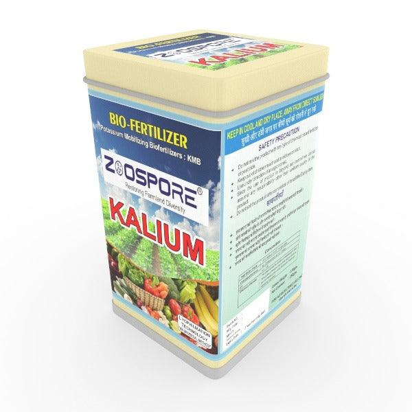 kalium - potassium mobilizing biofertilizers (zoospore biological's)