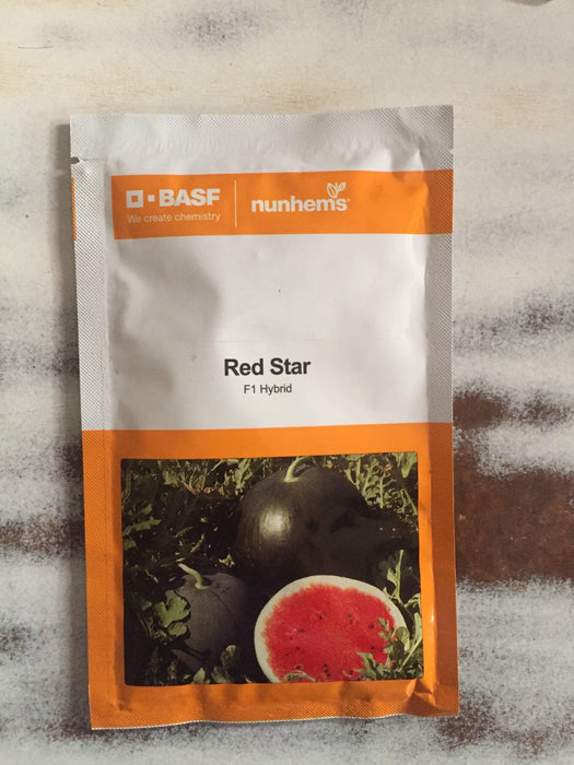 red star/रेड स्टार watermelon (nunhems)