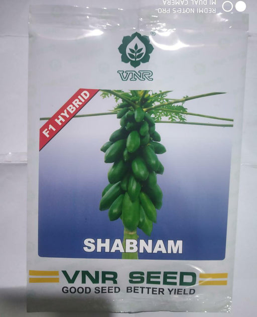 shabnam/शबनम f1 hybrid papaya (vnr seeds)