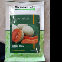 golden glory/गोल्डन ग्लोरी muskmelon (green field seeds)