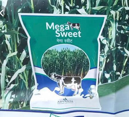 mega sweet forage (मेगा स्वीट  चारा बीज) (advanta)