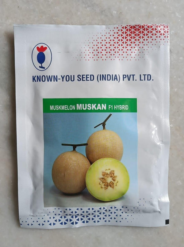 Muskan/मुस्कान / Muskmelon (Known You Seeds) - Farmers Stop