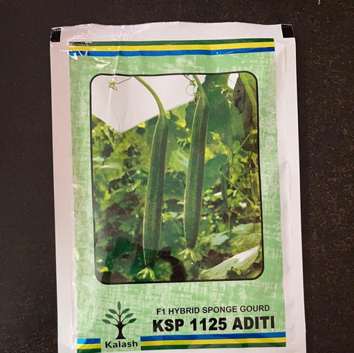 aditi ksp-1125 f1 hybrid sponge gourd ( kalash seeds)