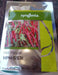 hph-5531 f1 hybrid hot pepper chilli (syngenta)