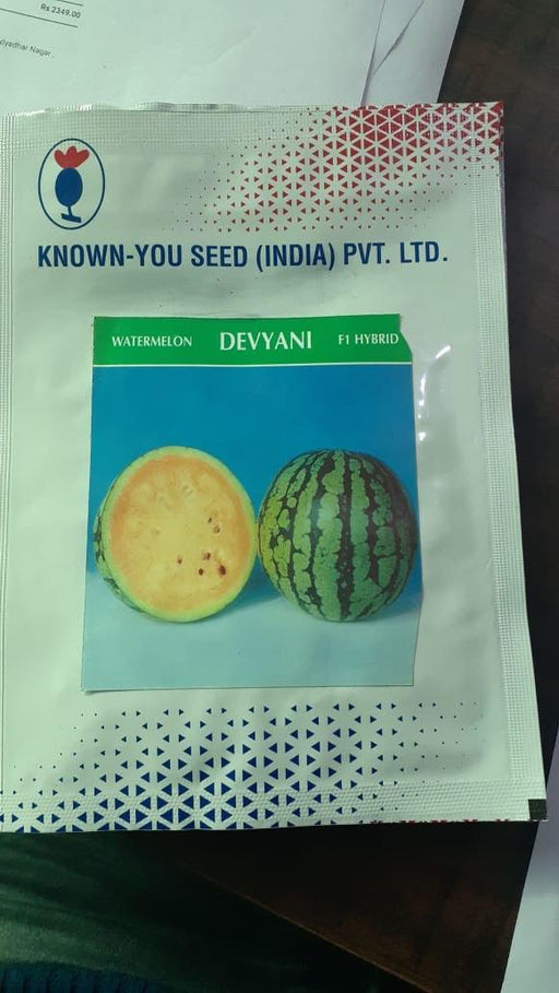 devyani/देवयानी hybrid watermelon yellow flesh (known you seeds)