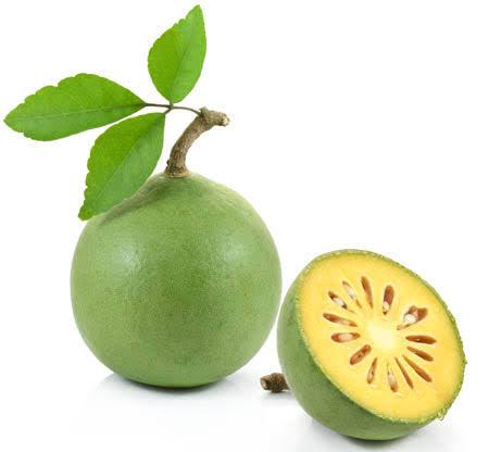 bael fruit seeds (bel, bilva patra, bengal quince, maredu, indian bael, golden apple fruit seeds for planting) बेल फल
