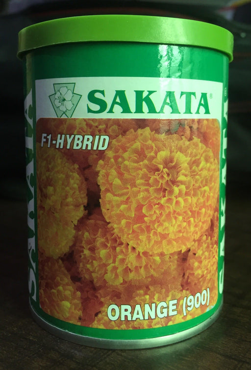 orange 900 hybrid f1 marigold (sakata)