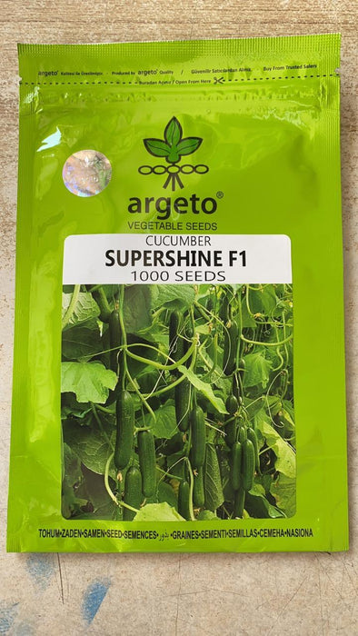 supershine/सुपरशाइन f1 hybrid cucumber(argeto seeds)