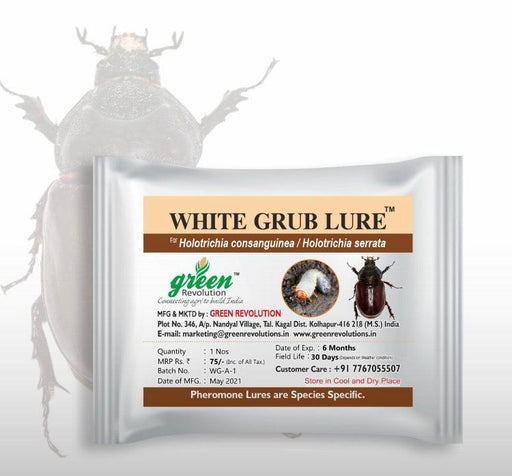 white grub lure & bucket pheromone trap ( green revolution) 10 nos / lure bucket trap