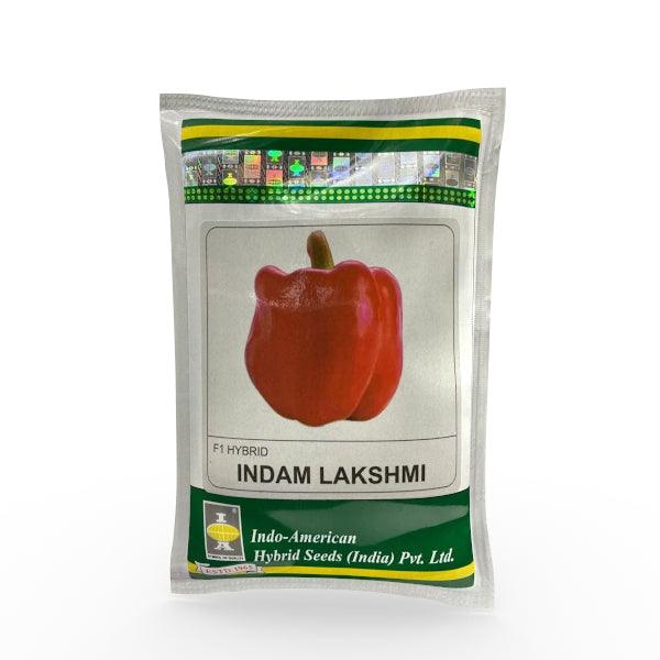 indam laxmi red capsicum f1 (indo american hybrid seeds)