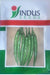 v13 (number 13) chili (indus seeds)